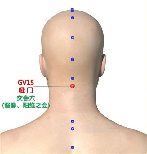 啞門穴位置|啞門穴:啞，發不出聲也，此指陽氣在此開始衰敗。。